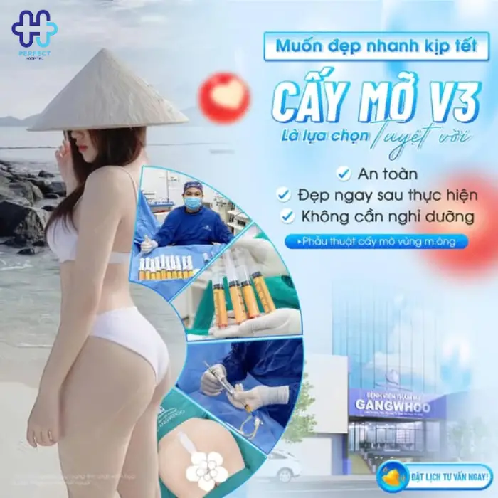 Cấy mỡ nâng mông là gì? Cấy mỡ nâng mông có an toàn không?