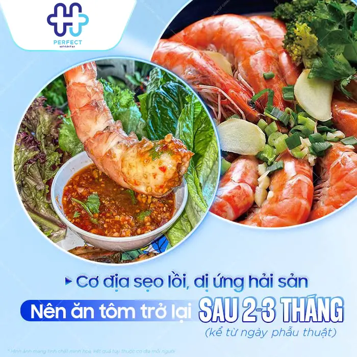 Nâng Mũi Có Được Ăn Tôm Không Và Khi Nào Ăn Lại An Toàn