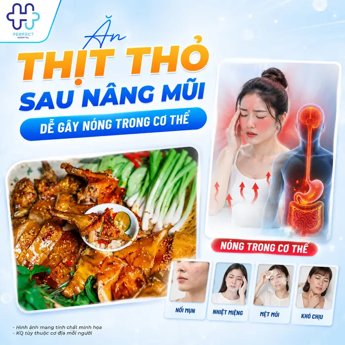 Nâng Mũi Ăn Thịt Thỏ Được Không? Tại Sao Bác Sĩ Khuyên Nên Kiêng?