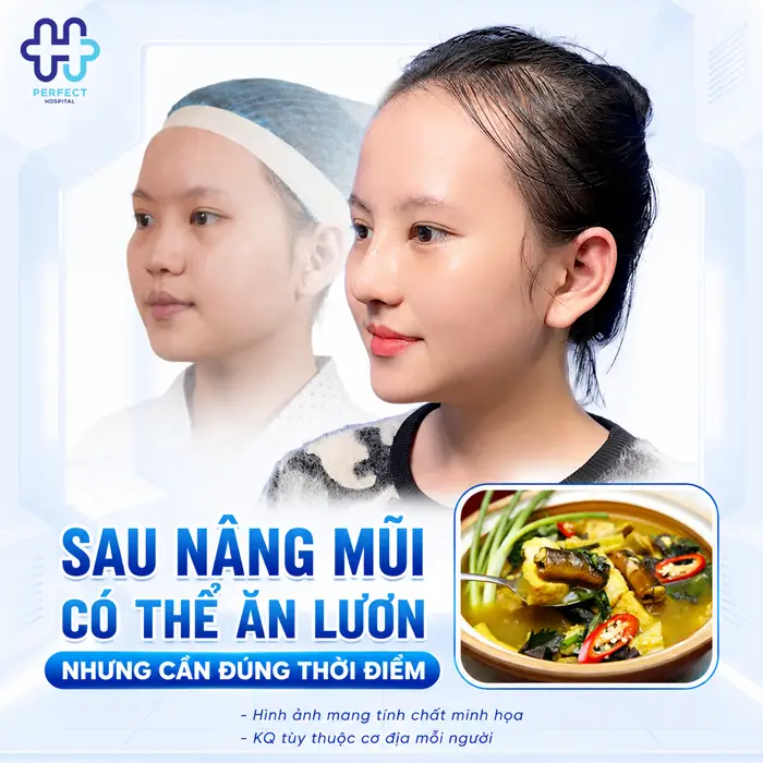 Nâng Mũi Có Ăn Được Lươn Không? Chuyên Gia Giải Đáp Chi Tiết